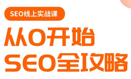 若凡老师谷歌SEO实操课 逐步进阶到大神