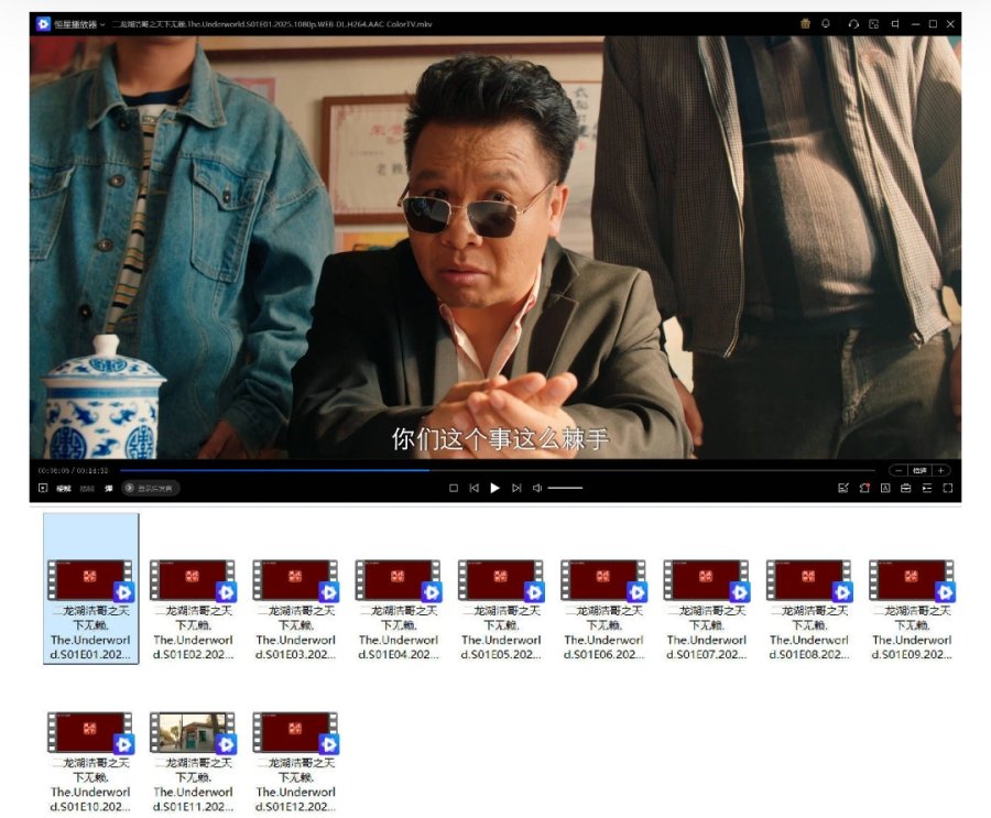 二龙湖浩哥之天下无赖 全24集 4K-2160P