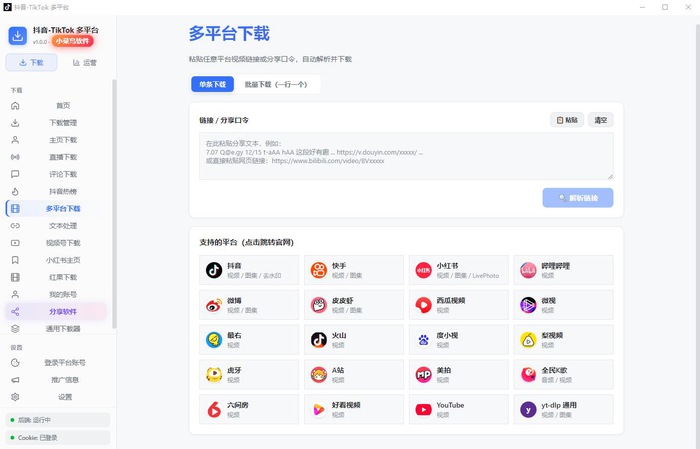 抖音快手小红书TikTok多平台短视频下载器v1.0.1